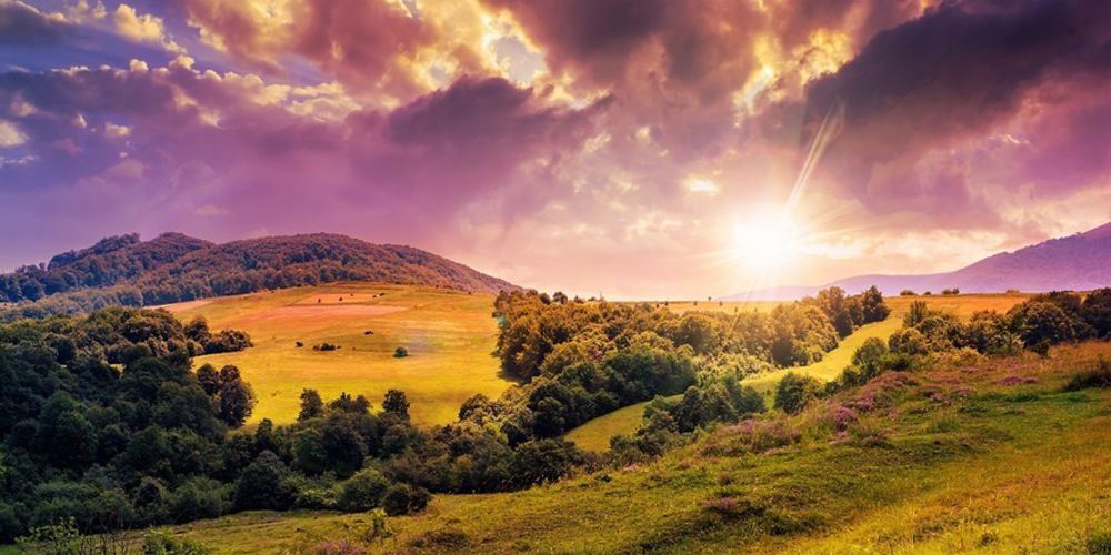 《种地吧2》下期精彩:十个勤天农副产品寻加工 创业路漫漫